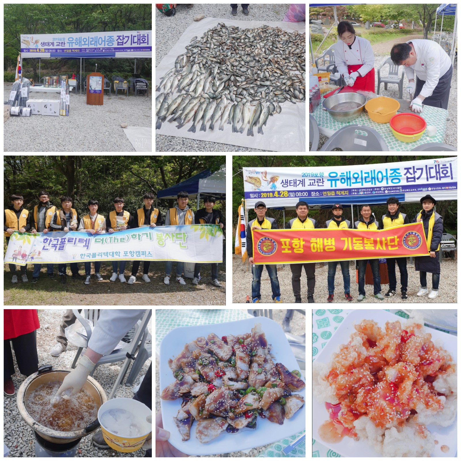 외래어종잡기행사