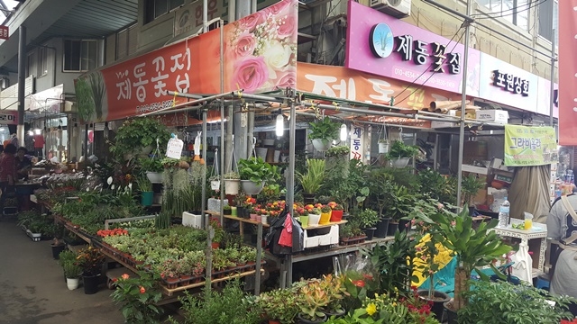 제동꽃집