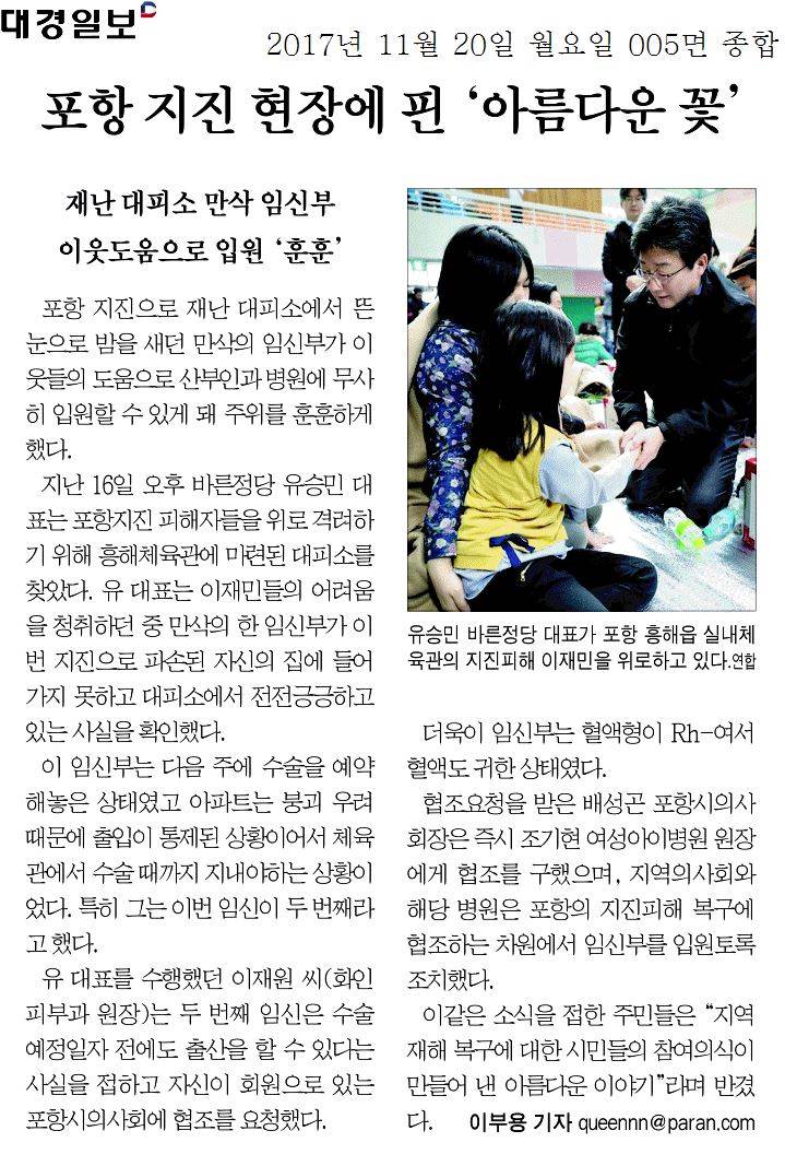 포항 지진 현장에 핀 아름다운 꽃